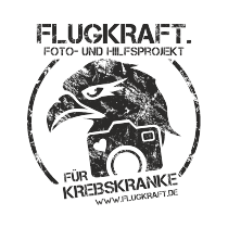 SmartWe Referenz Flugkraft e.V. Logo